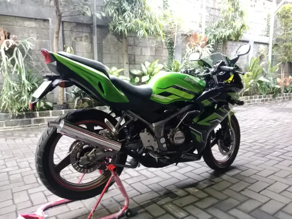 Ninja RR New 2014 Full Standar