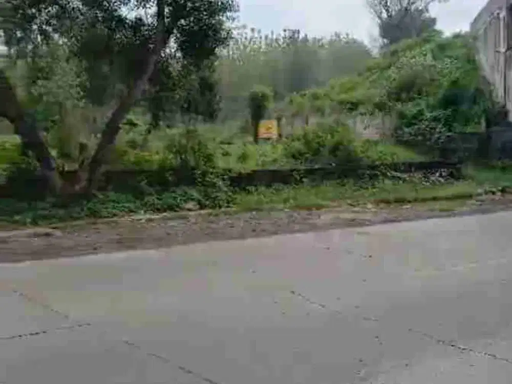 Jual Tanah di Losari