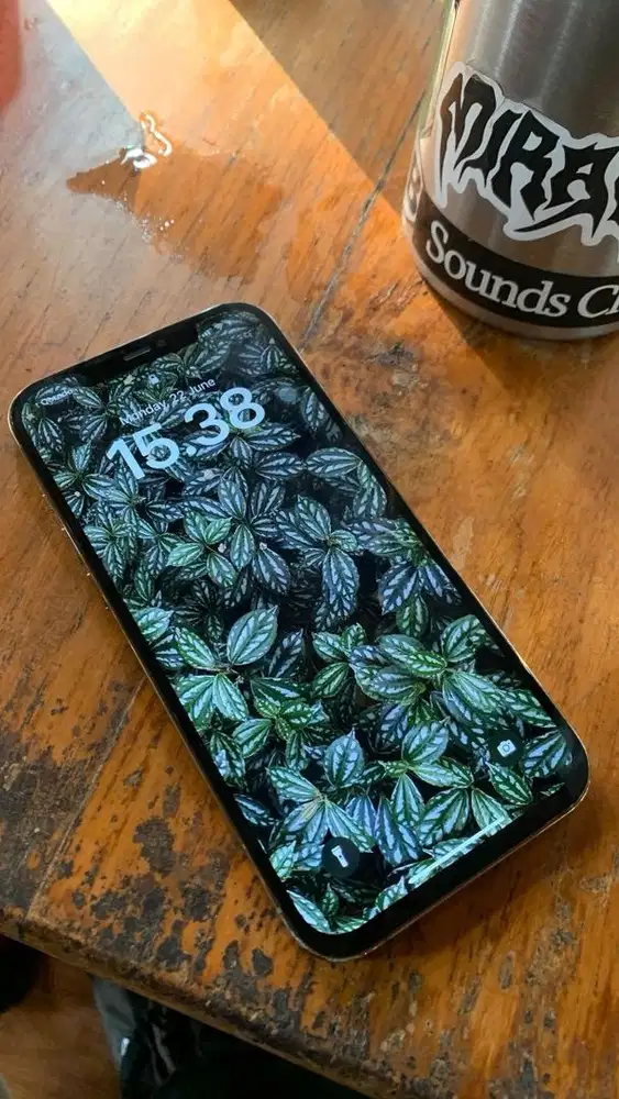 Iphone 12 Pro Max 256GB Cukai