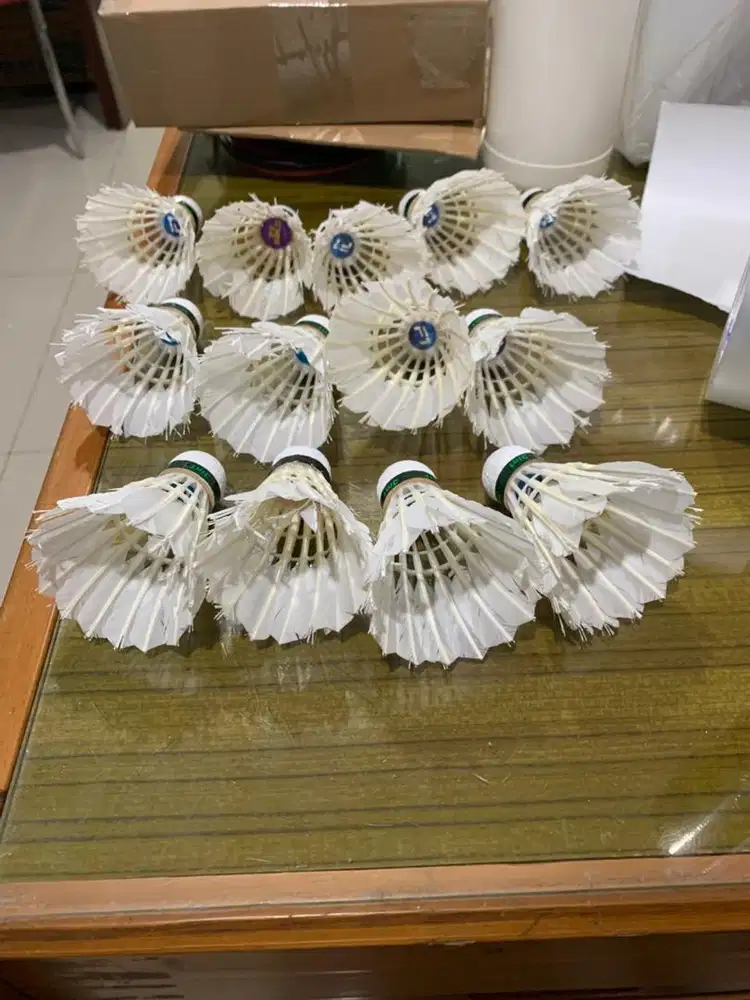 Cock Bekas Badminton Start 30rb