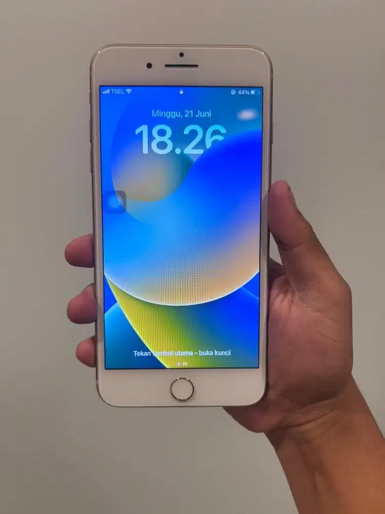 iPhone 8 Plus 256GB Batangan