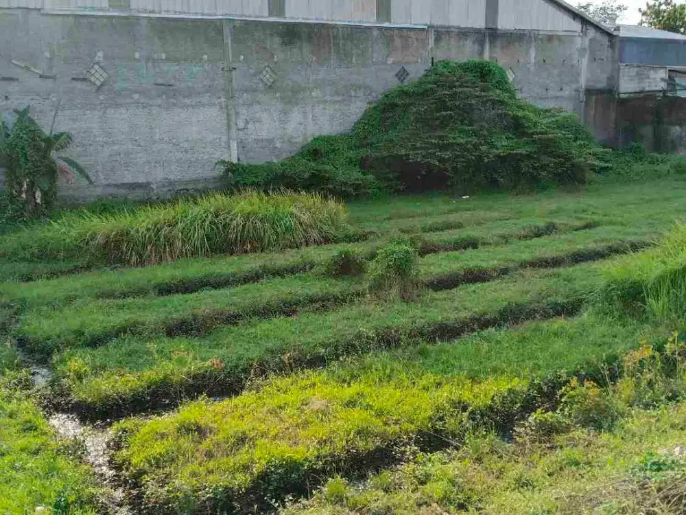 Jual Tanah Kavling Di Jl Dukuhsemar Kota Cirebon