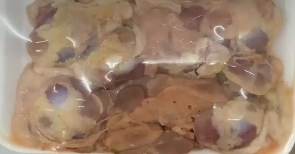 Ari ayam segar Depok
