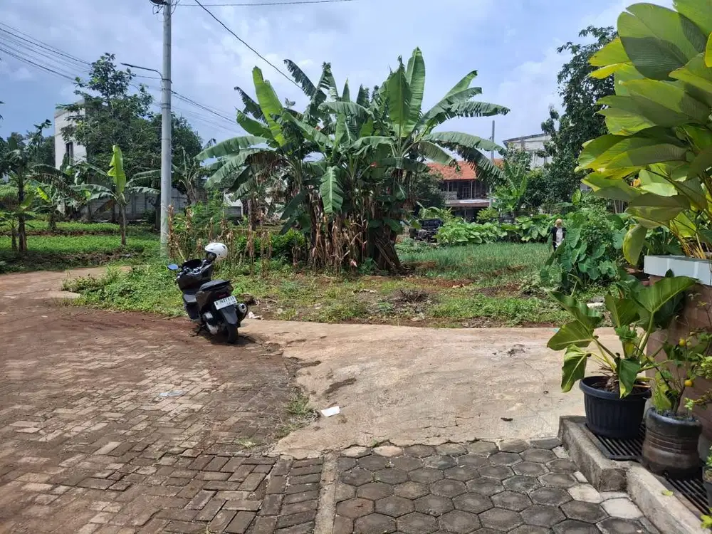 Tanah Murah dekat undip bulusan tembalang
