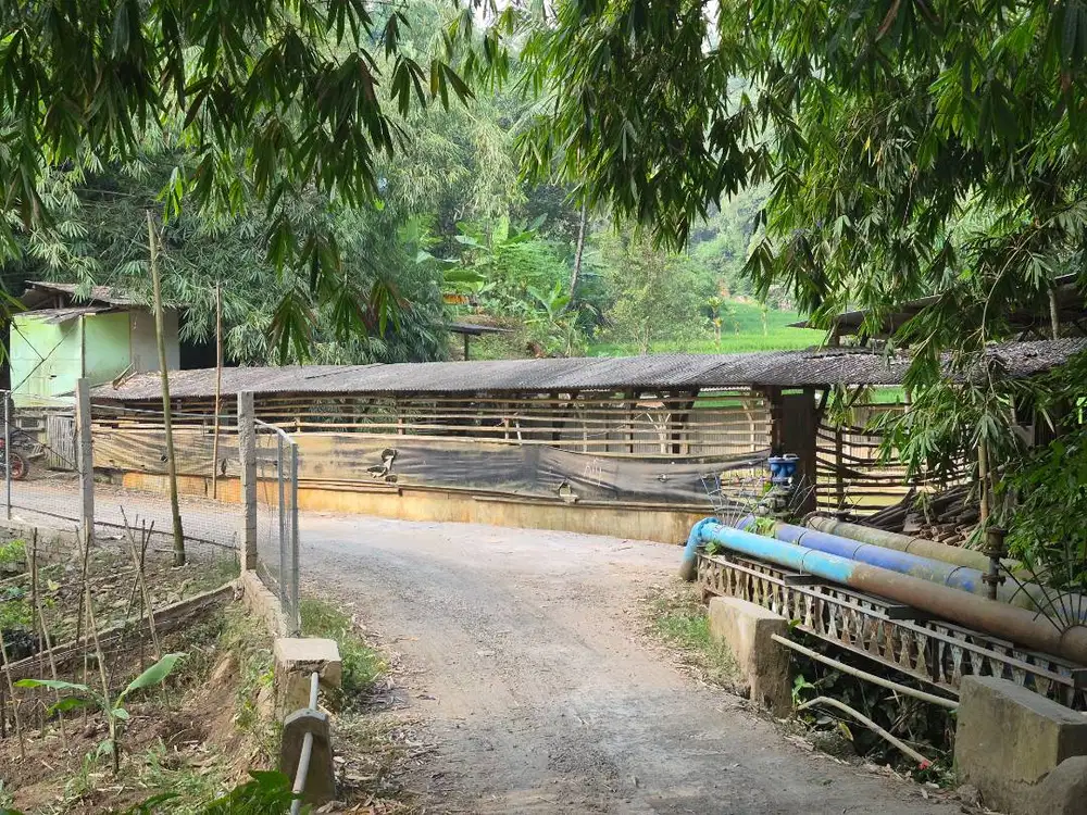 DIJUAL LAHAN KOLAM PANCING PINGGIR JALAN