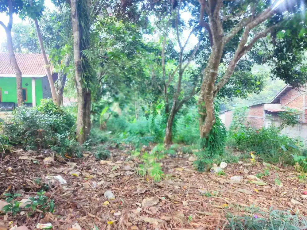 tanah kampung murah cocok untuk investasi di watusari patemon