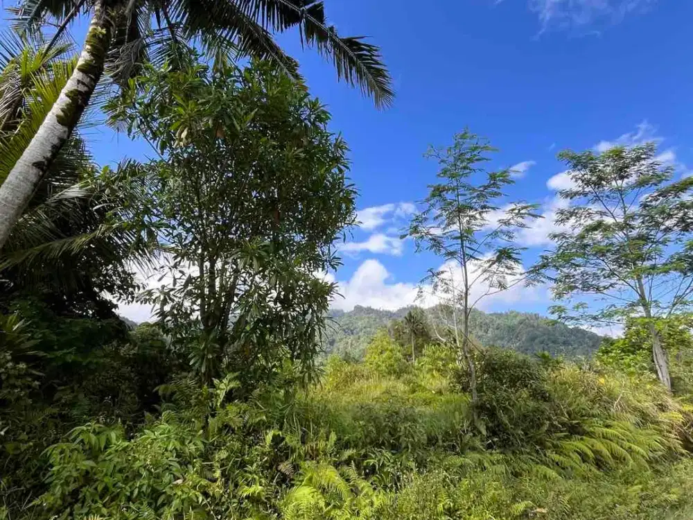 Tanah Siap Bangun Dengan View Sawah Perbukitan Sidemen Lingkungan Villa