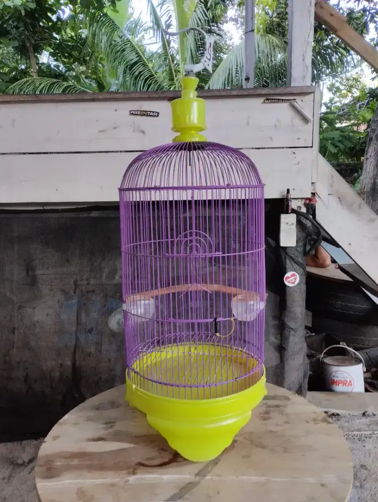 Sangkar burung capsul