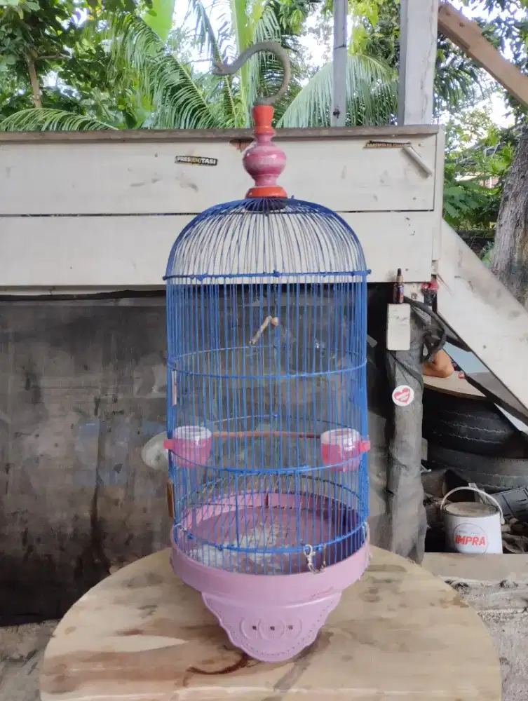 Sangkar burung capsul