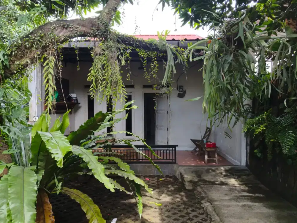 DIJUAL TANAH STRATEGIS (HITUNG TANAH)
