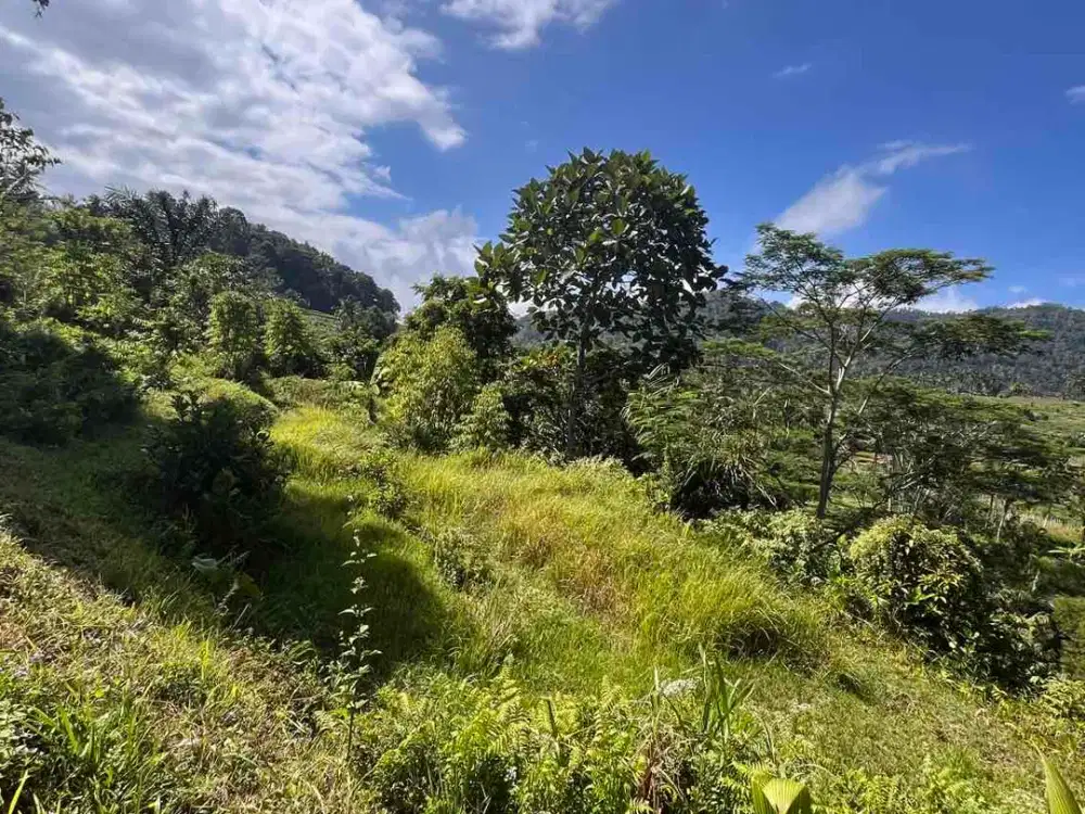 Tanah Sawah Dengan View Sawah Perbukitan Sidemen Lingkungan Villa
