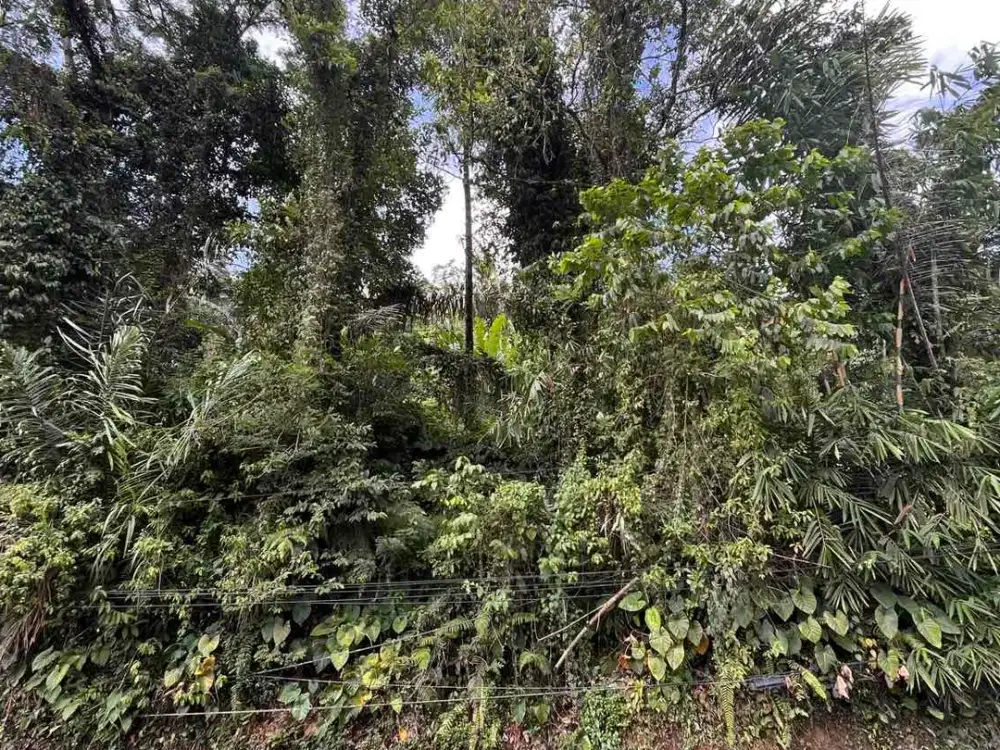 Tanah Ladang dengan View sawah dan perbukitan Sidemen Lingkungan Villa