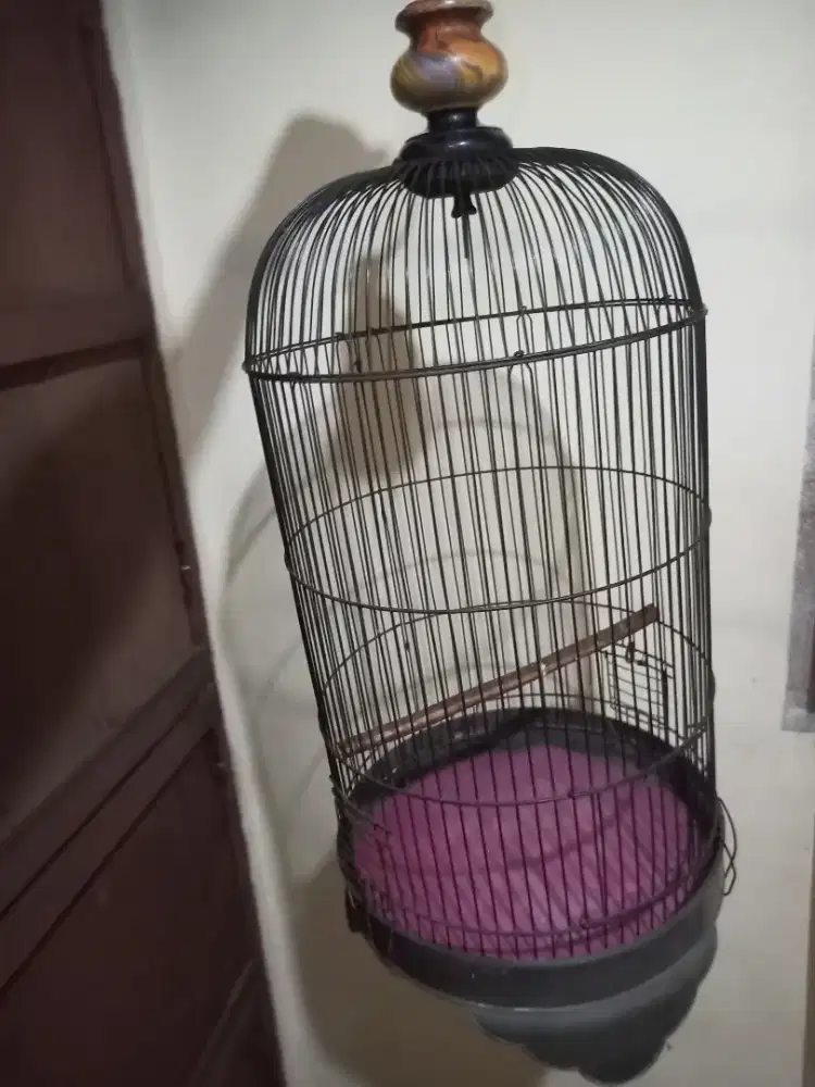 kandang/sangkar besi lovebird kenari