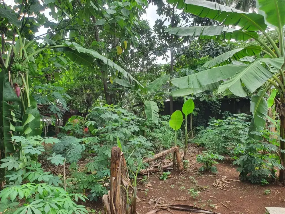 Tanah Potensial di Pancoran Mas Akses Cepat ke Margonda