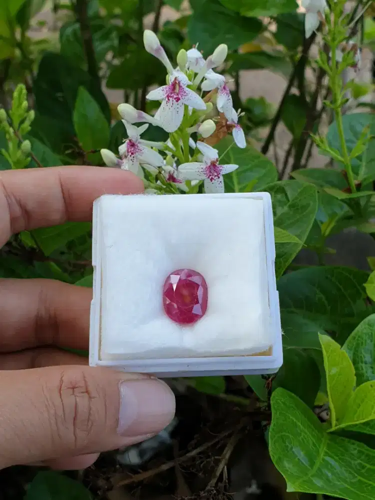 Natural Ruby 14.14 crt Nan Yang Sertivikat