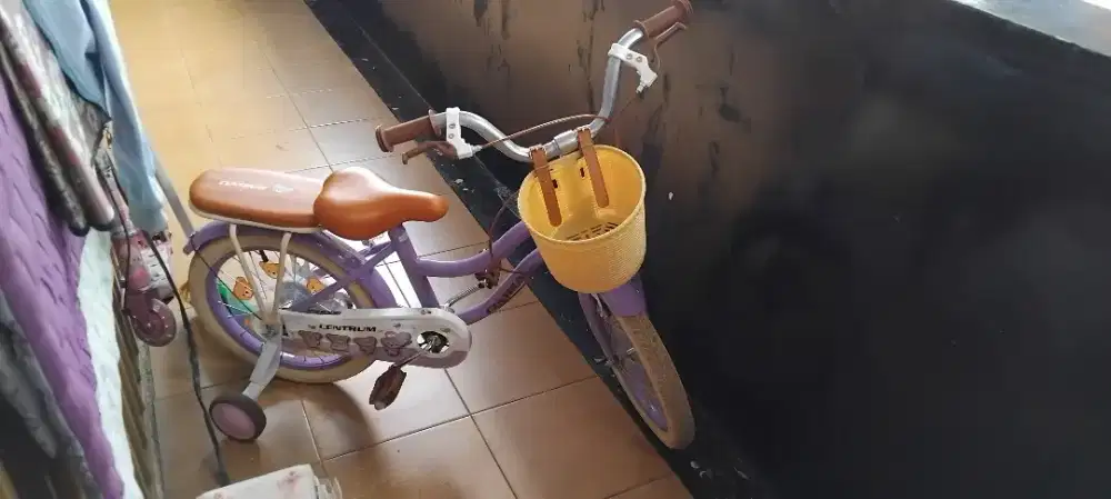 Sepeda Anak-Anak 16 Inch