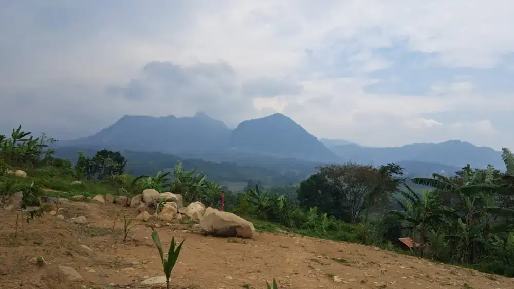 Dijual cepat tanah kebun murah siapa cepat dia dapat