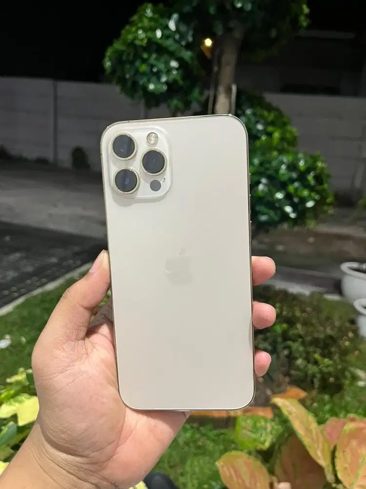 Iphone 12promax 256 gold