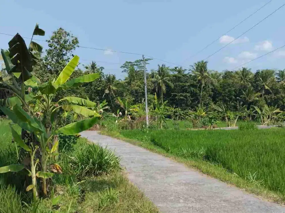 Tanah Murah View  mewah