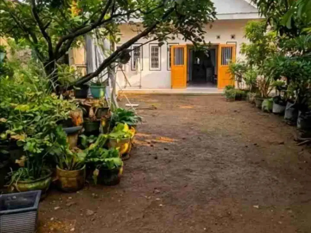 JUAL RUMAH KLASIK PAKUNDEN BLITAR