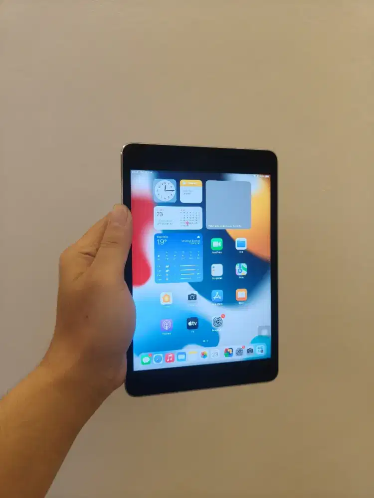 iPad Mini 4 128GB Wifi Only Murah