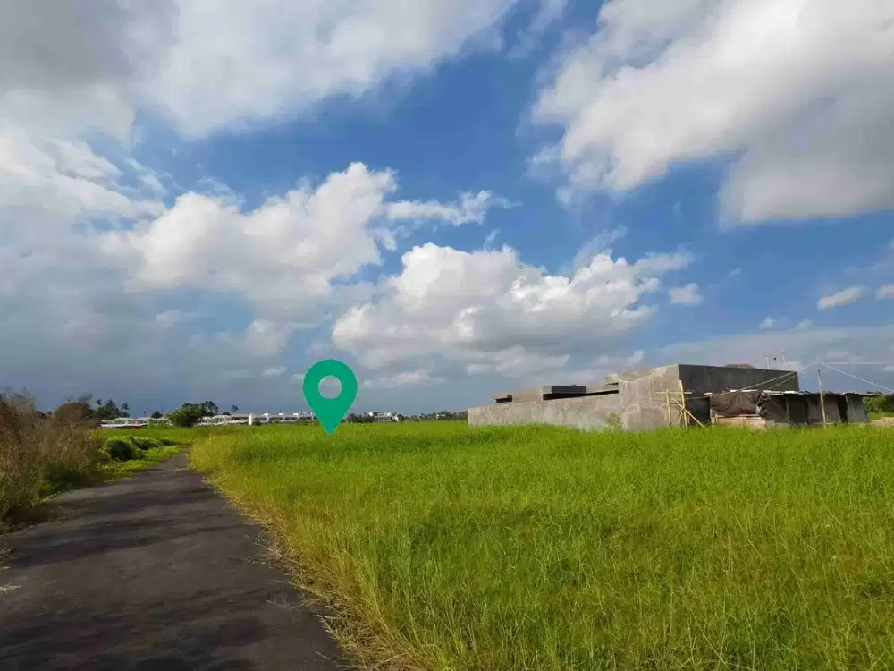 Kavling Premium 500 Meter ke Pantai Kedungu Surfing