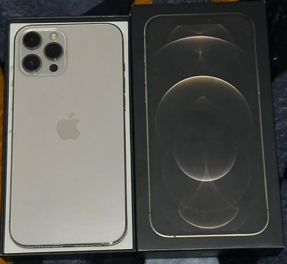 iPhone 12 Pro Max 256GB Inter