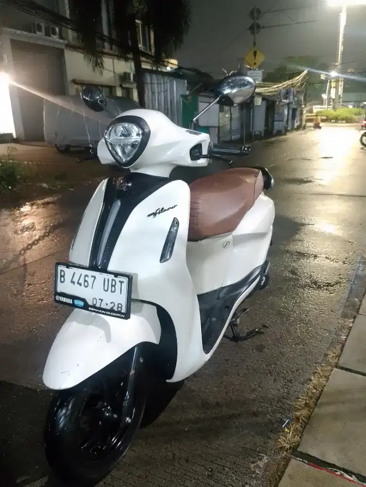 Filano hybrid mulus