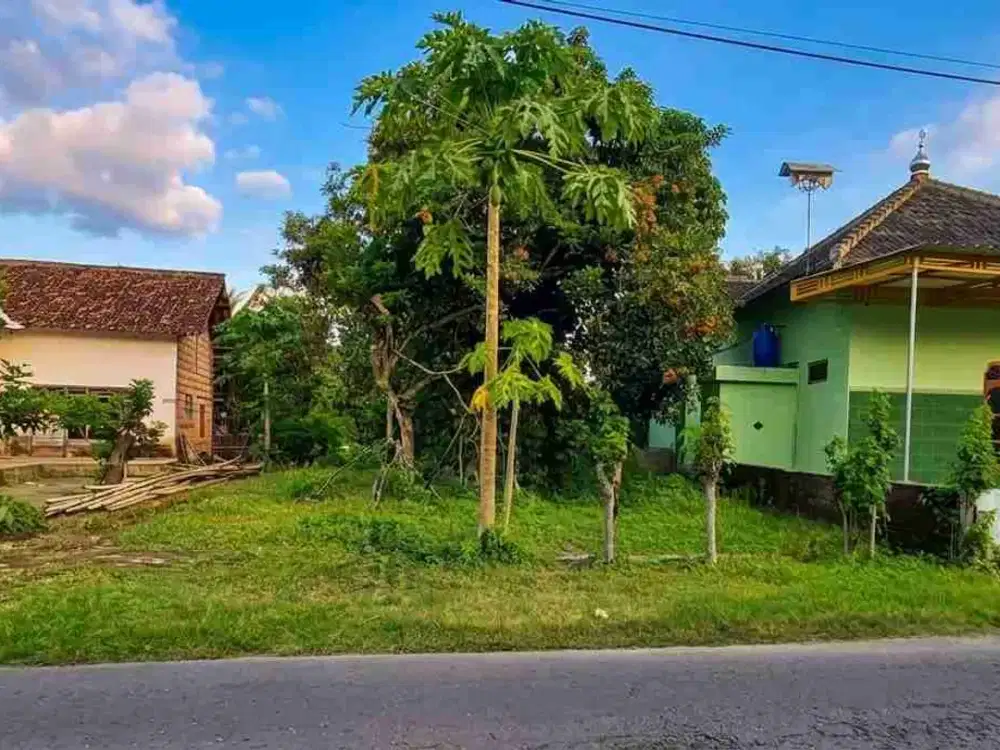 JUAL CEPAT TANAH KAUMAN SRENGAT BLITAR