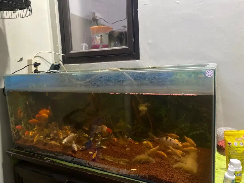Aquarium jumbo 100x40x40