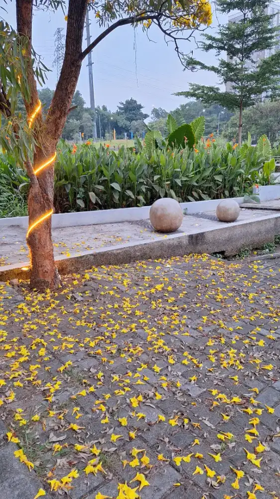 Dibutuhkan Perawat Lansia