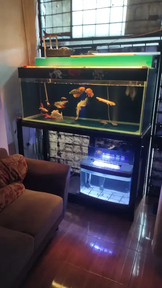 Aquarium 150x60x65 12ml fulset tinggal colok dan rak
