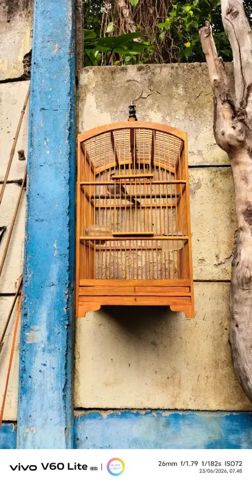 KANDANG KOTAK BUAT KENARI TRUCUK CIBLEK