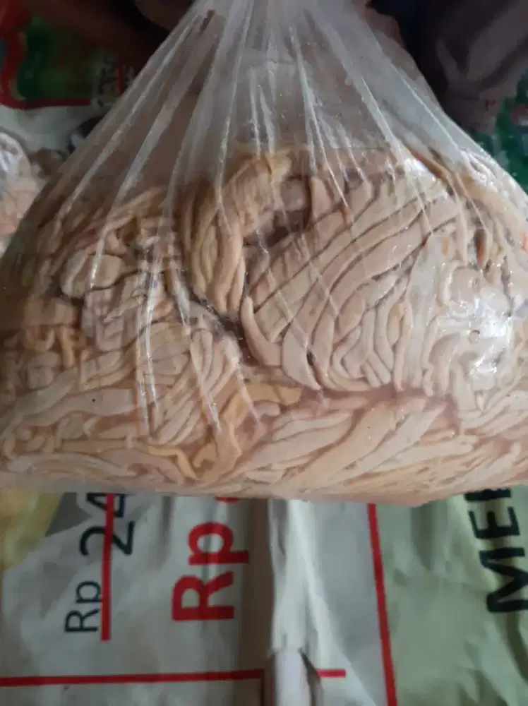 Usus Ayam matang