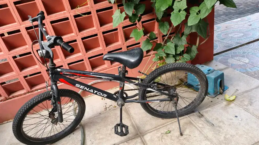Sepeda anak Senator 20 inch