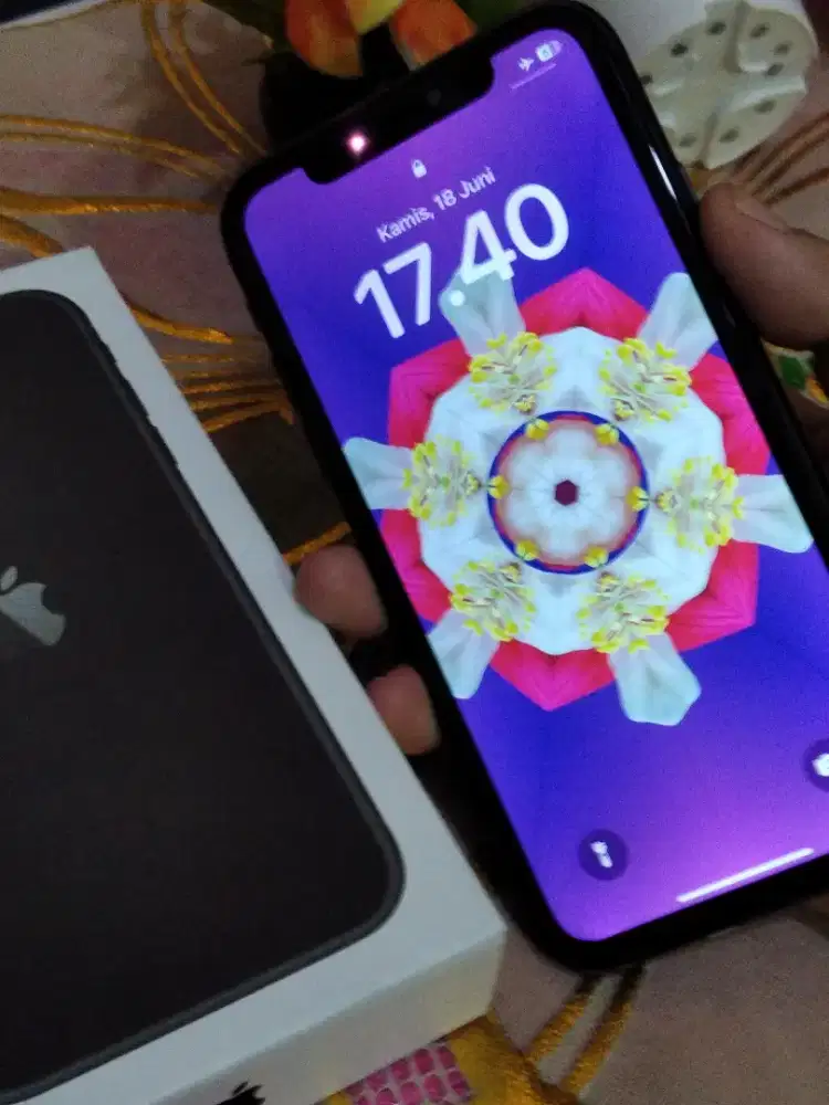 Mulus Dusbox  iPhone 11 Wify Only