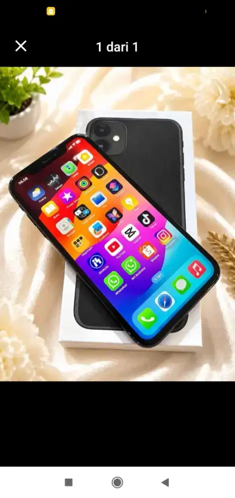Mulus Banget iPhone 11 Wify Only