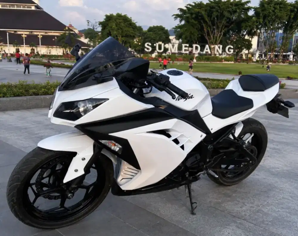 Ninja 250 f1 2 cylinder mulus 2013