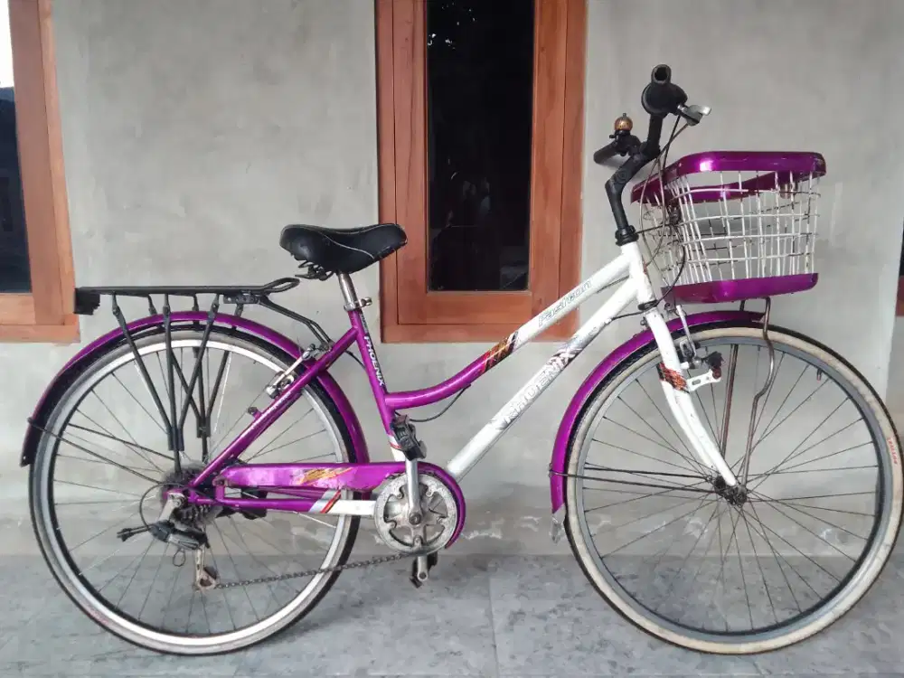 Sepeda keranjang Phoenix 26