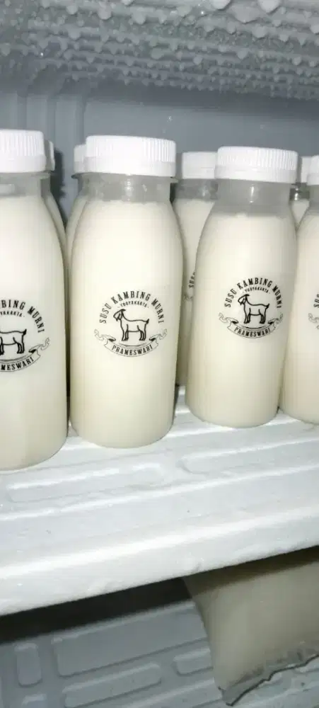 Susu Kambing Murni
