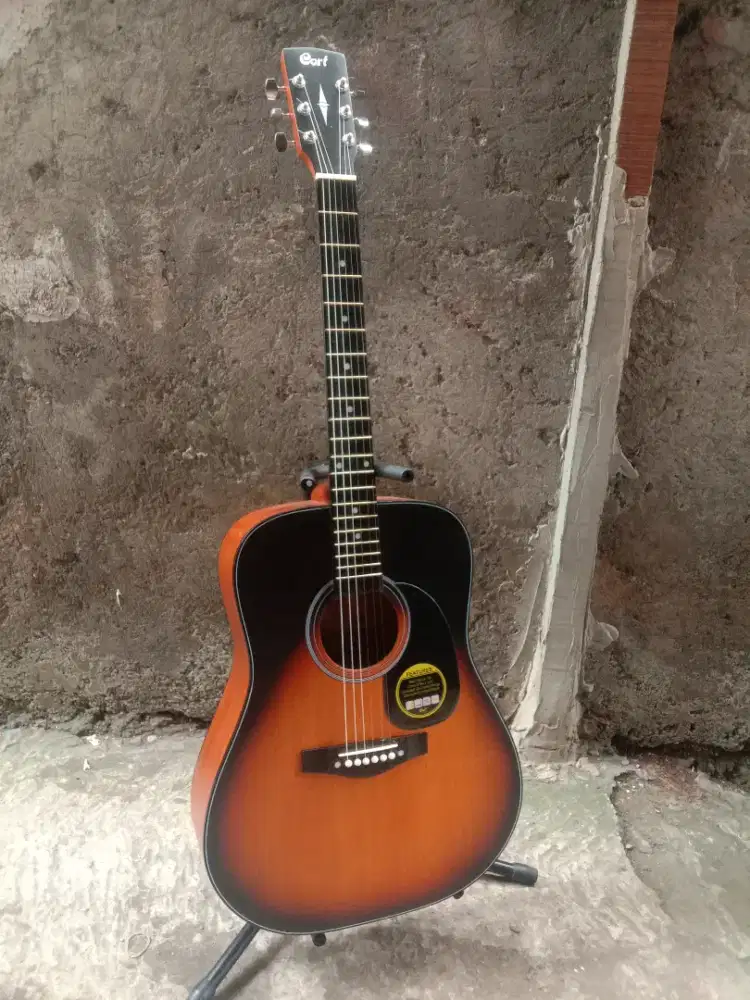 Cort akustik jumbo