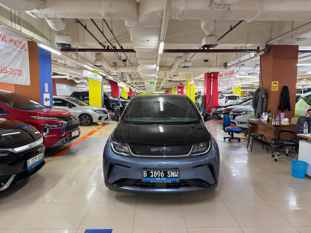 Byd Dolphin Premium Ev 2023 km 40 rb
