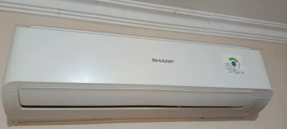 AC Sharp 1/2 PK