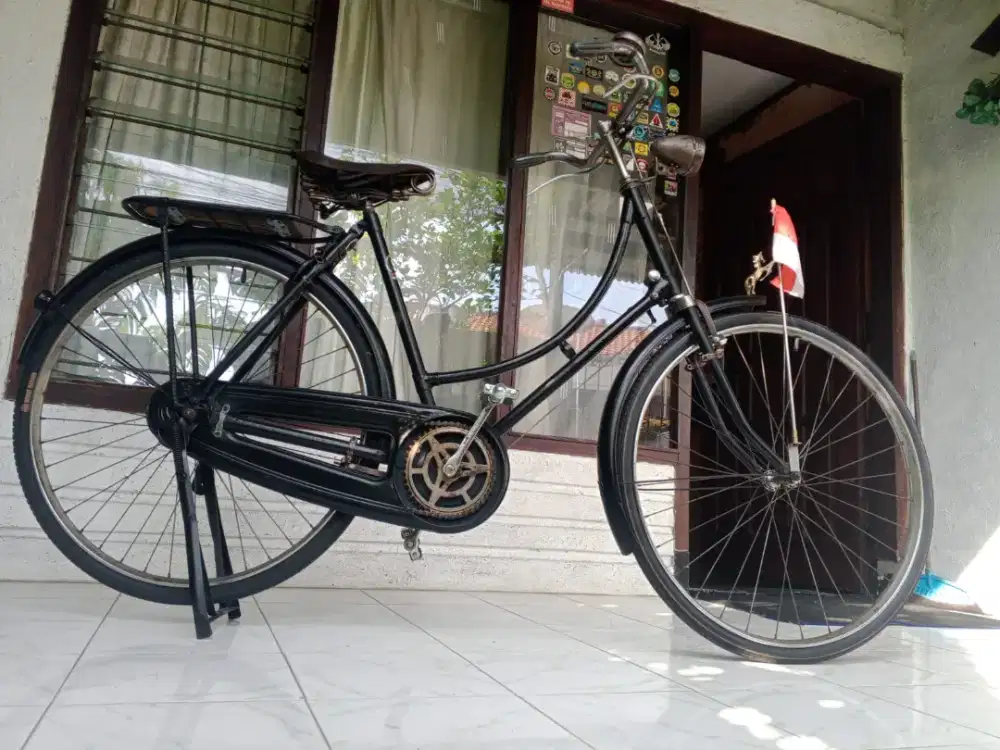 Sepeda kebo dames relic
