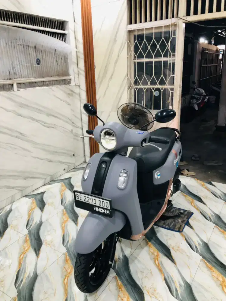 FAZZIO NEW LUXURY ISTIMEWA 2025 Pajak Hidup