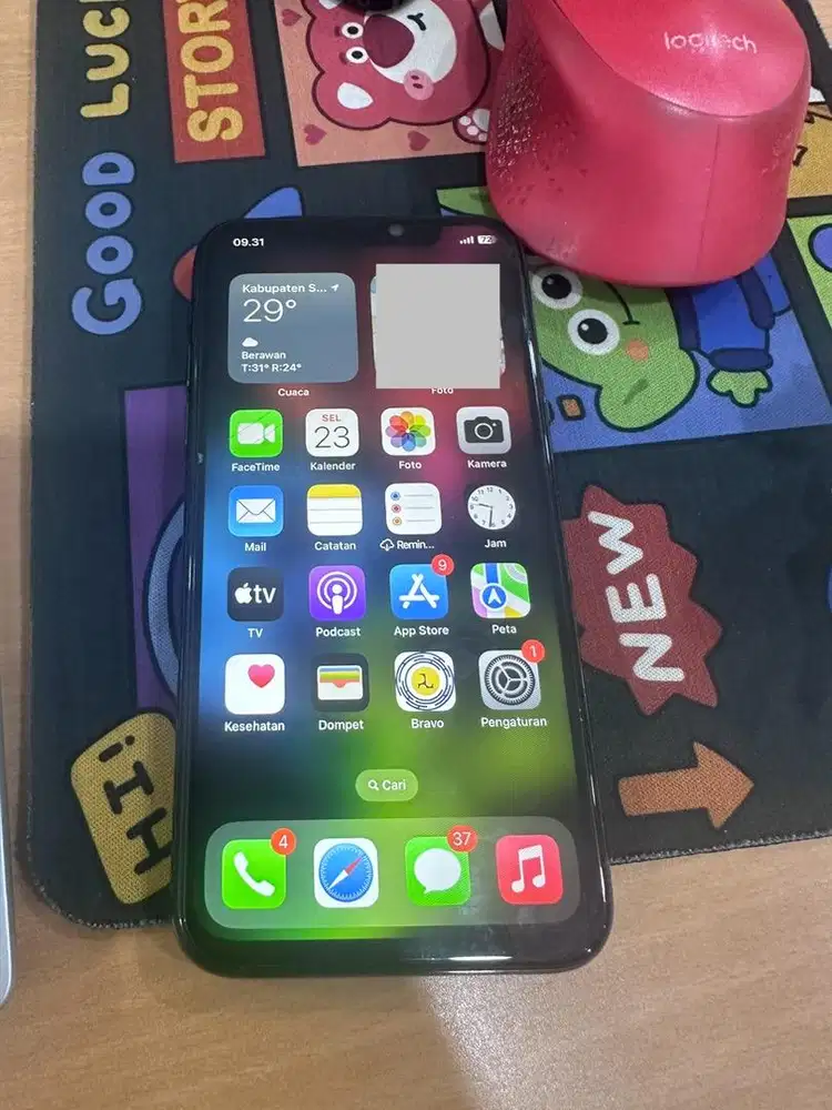 Iphone X pemakaian pribadi
