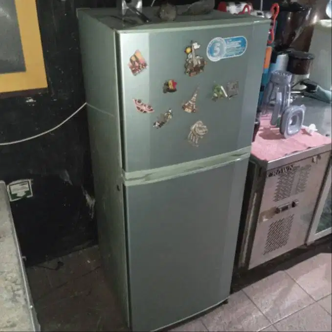 Kulkas 2 Pintu Freezer & Chiller LG 53x57x139