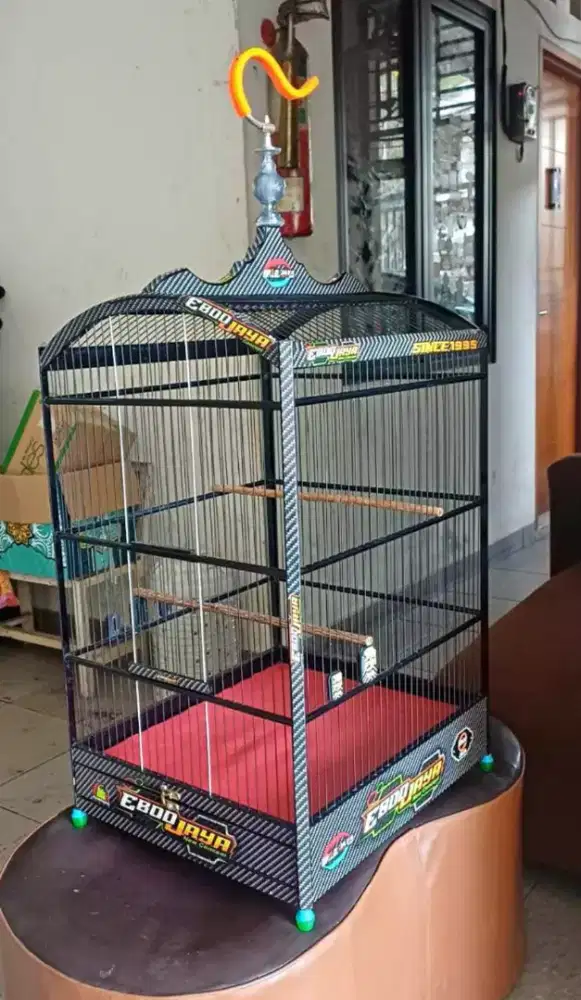 kandang kotak ebod carbon nomor 2