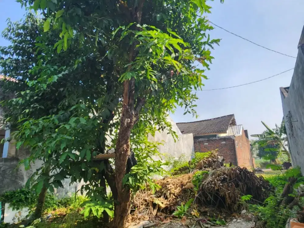 Dijual Kavling SHM di Puri Mojobaru Jetis Mojokerto