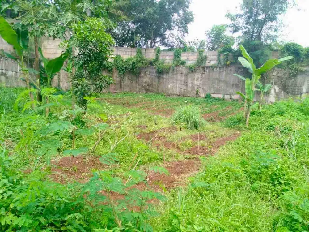 Dijual Cepat Tanah Di Pagedangan